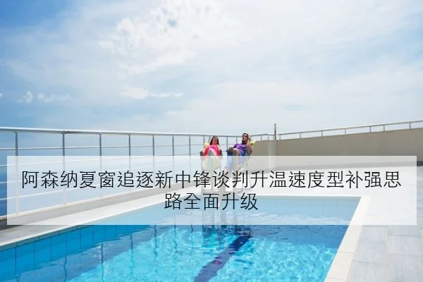 阿森纳夏窗追逐新中锋谈判升温速度型补强思路全面升级 | MKSports